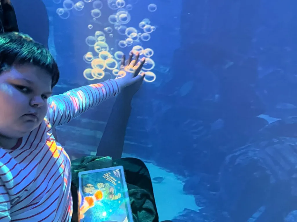 Top 5 Reasons to Experience an Immersive Sensory Room at Inspired Day Care